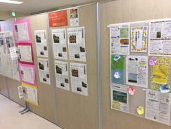 小石川図書館のYAコーナーの画像3