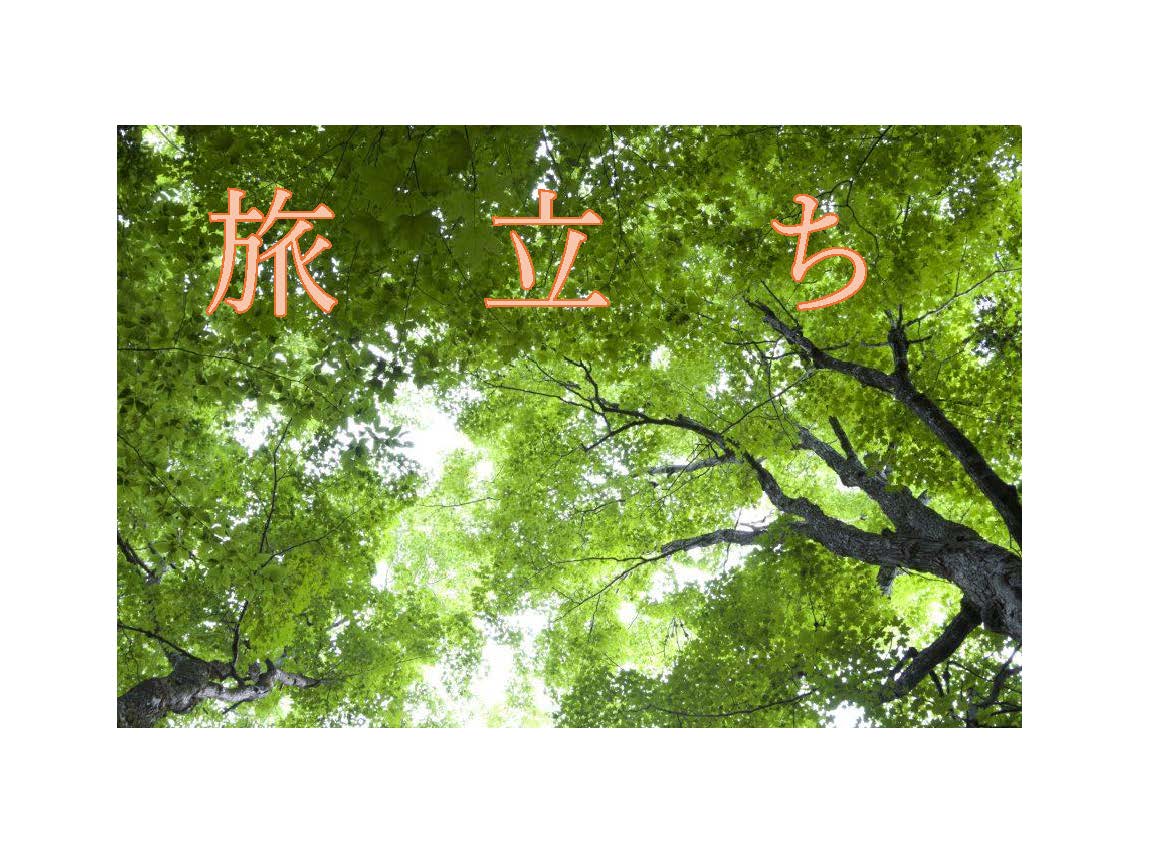 真砂のホワイトクリスマスの写真