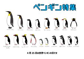 特集ペンギン特集のポスター