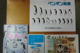 特集ペンギン特集の写真