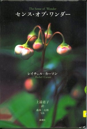 センス・オブ・ワンダー画像