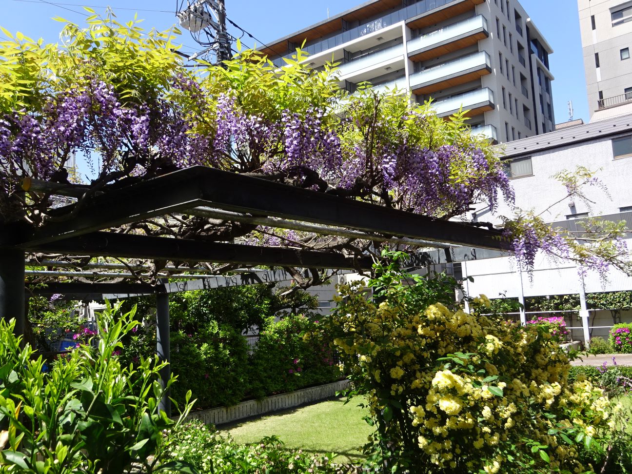 千石図書館の外風景の写真
