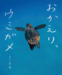 おかえり、ウミガメ表紙