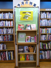 書棚に本が並んでいる写真