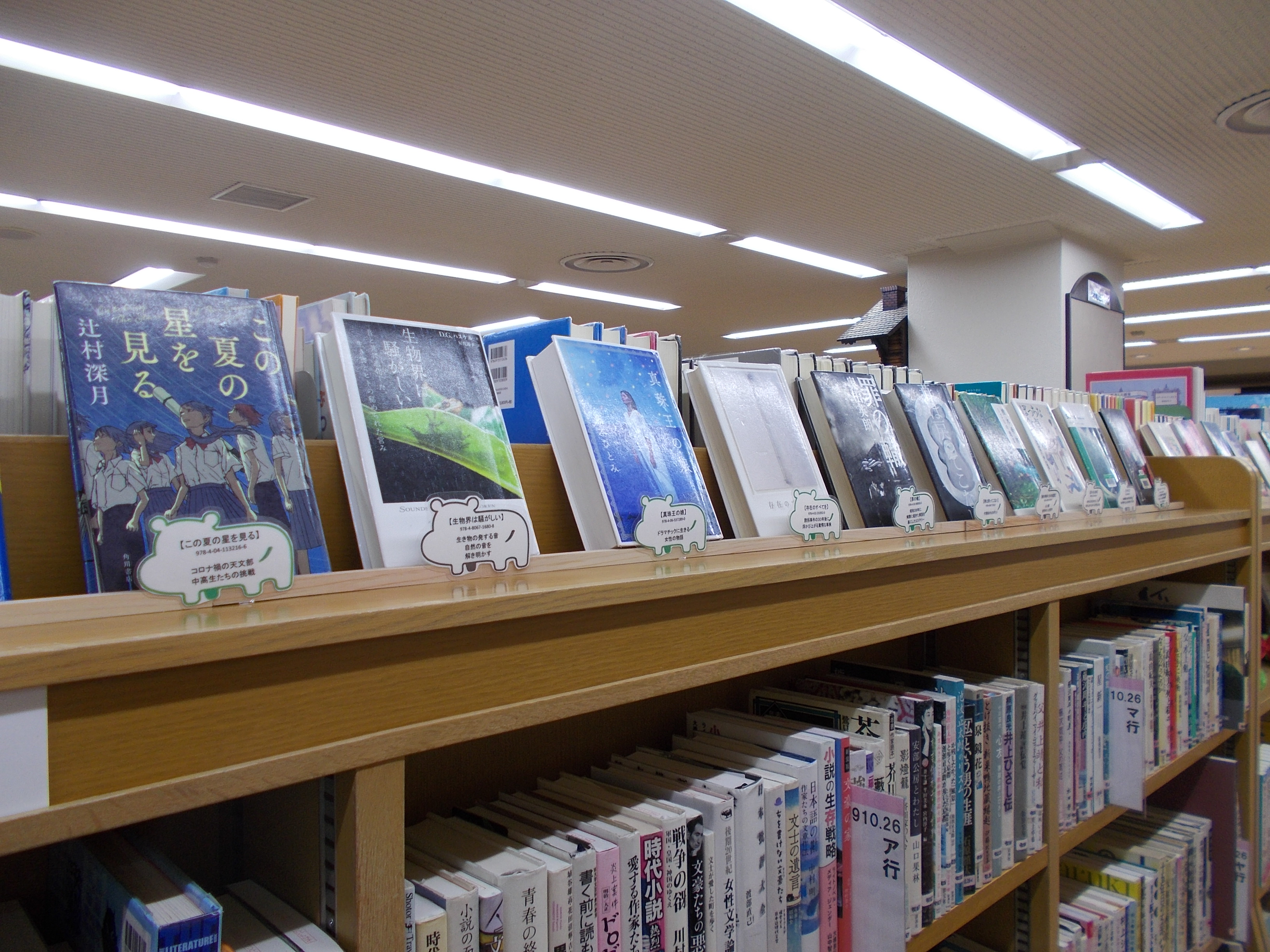 特集コーナーに本が並んでいる写真