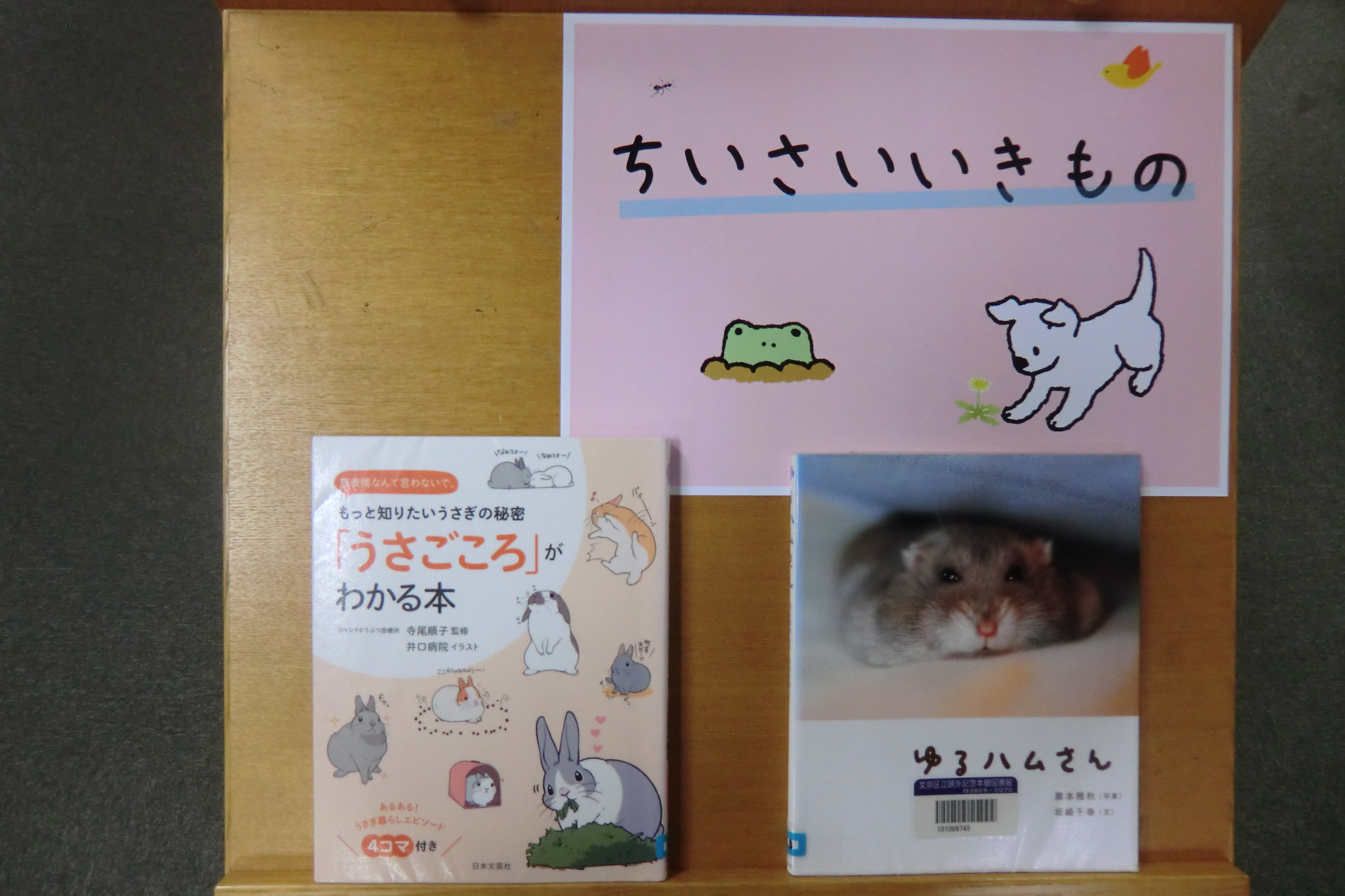 特集ちいさいいきものの写真