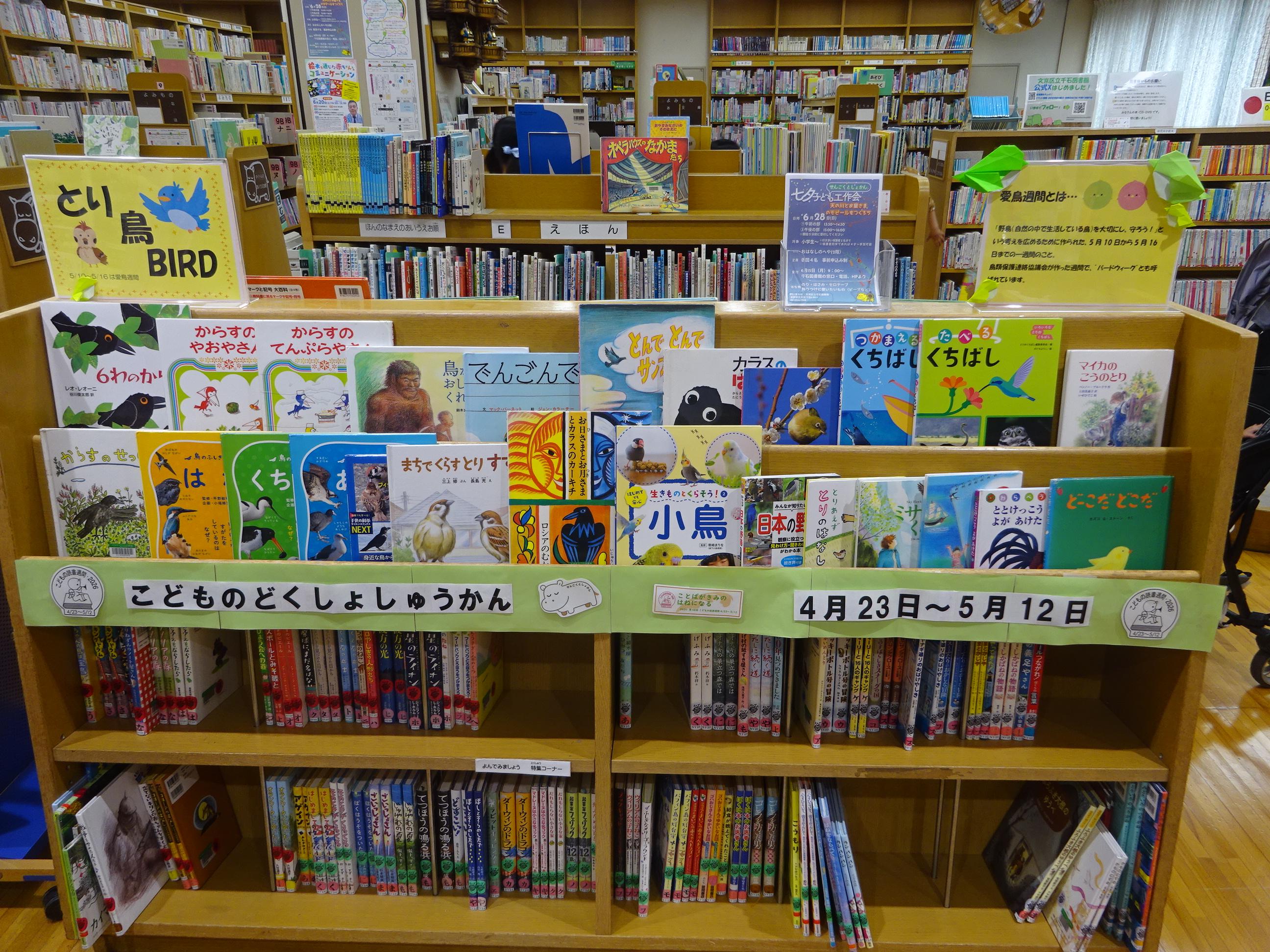 とりDSC00028.JPG