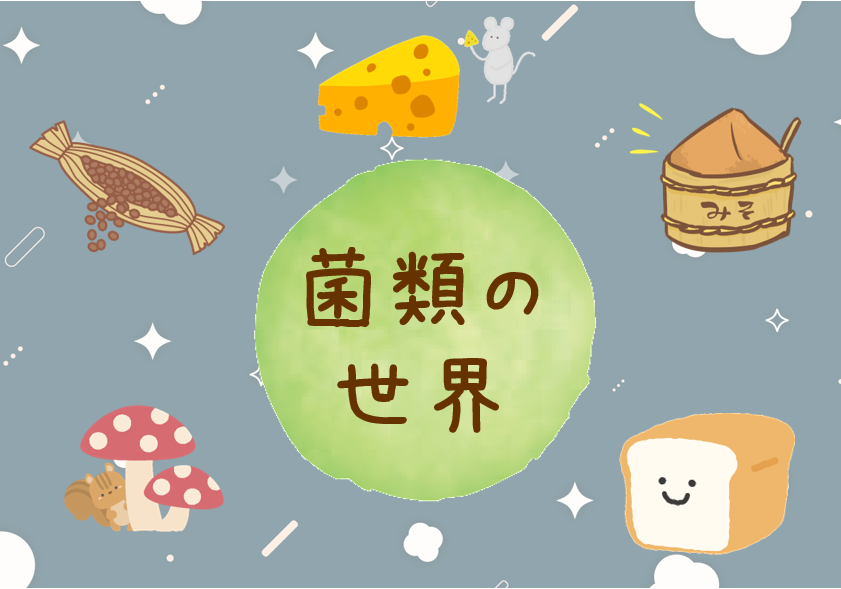 特集菌類の世界ポスター 特集菌類の世界ポスター