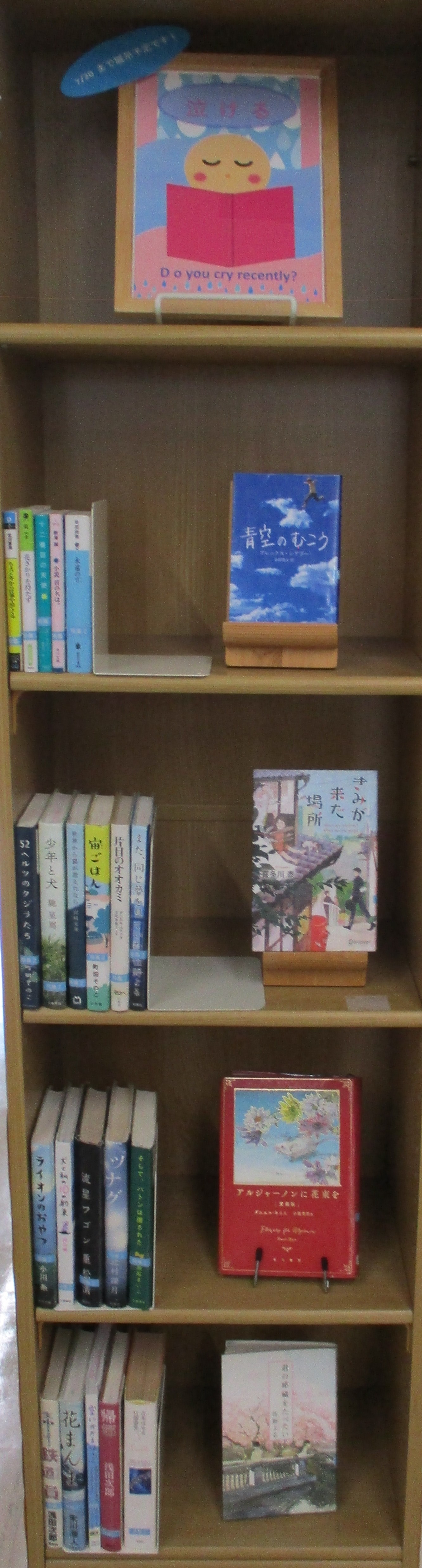 泣ける小説の特集棚の写真 泣ける小説の特集棚の写真