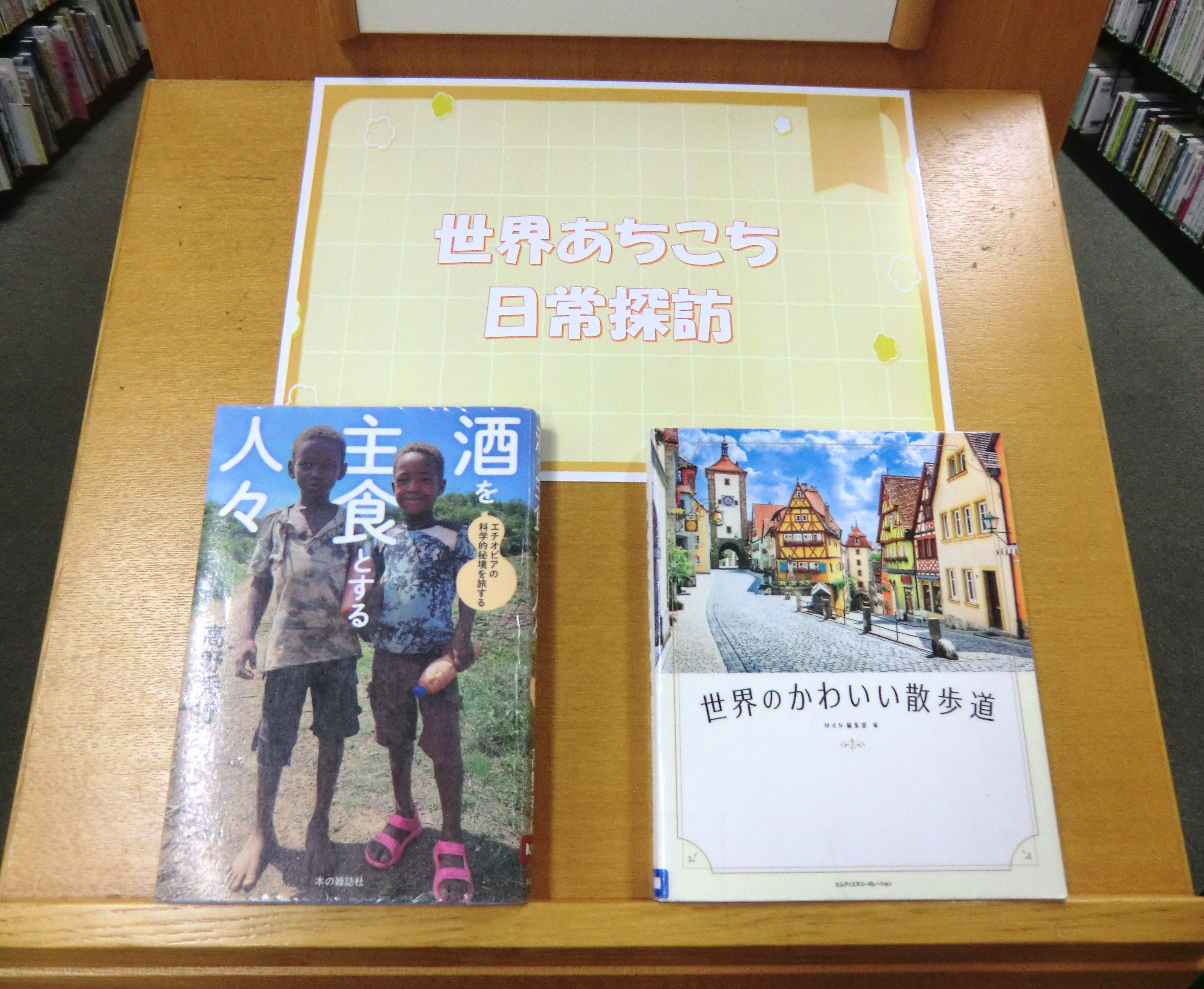 一般特集「世界あちこち日常探訪」の棚写真 一般特集「世界あちこち日常探訪」の棚写真