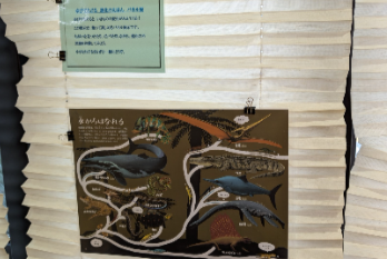 展示風景2
